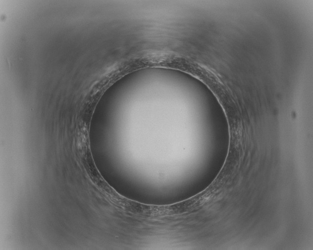 X0000073451349200608111340