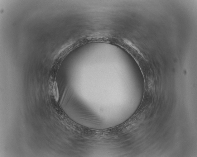 X0000073451350200608111340