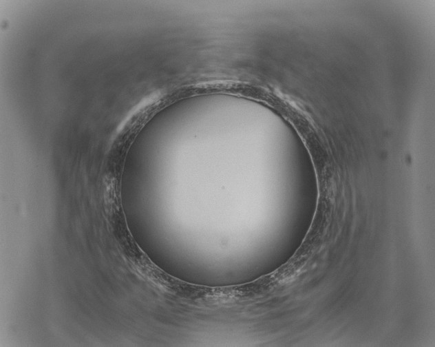 X0000073451351200608111340