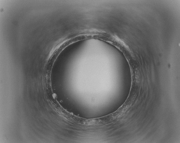 X0000073451352200608111340