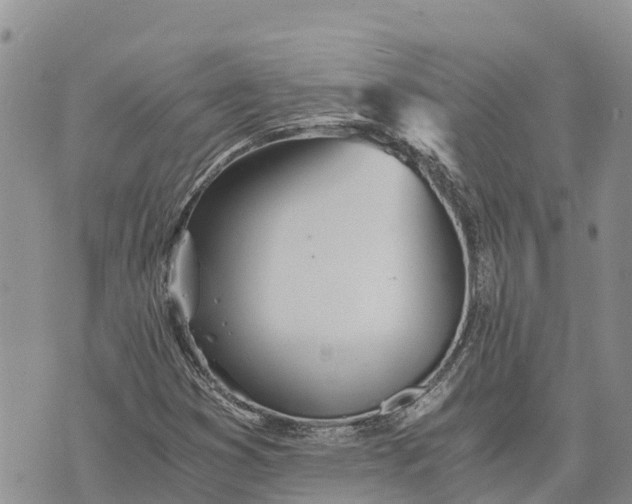 X0000073451353200608111340