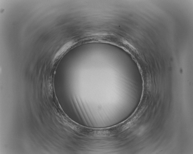 X0000073451354200608111340