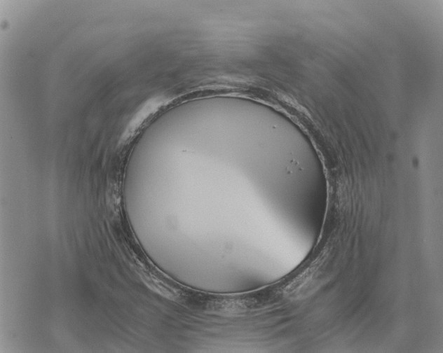 X0000073451355200608111340