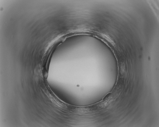 X0000073451356200608111340