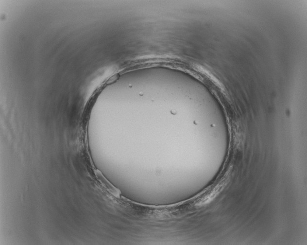 X0000073451357200608111340