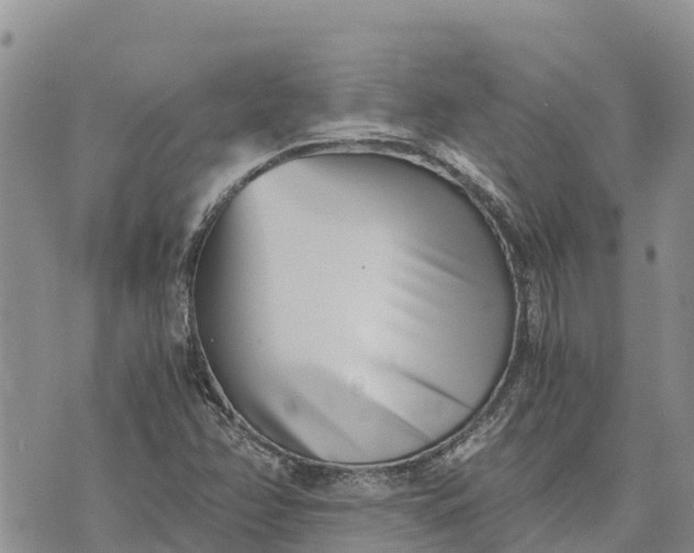 X0000073451358200608111340