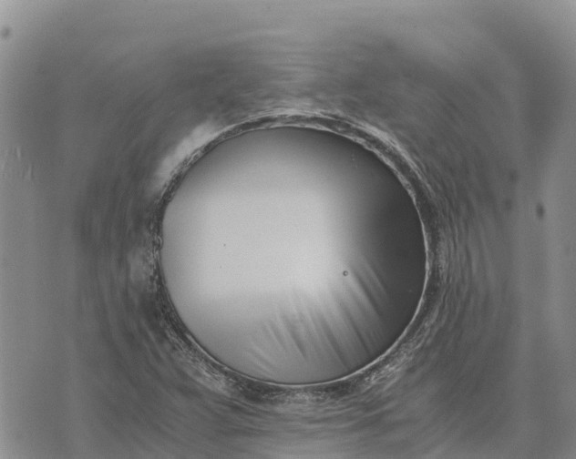 X0000073451359200608111340