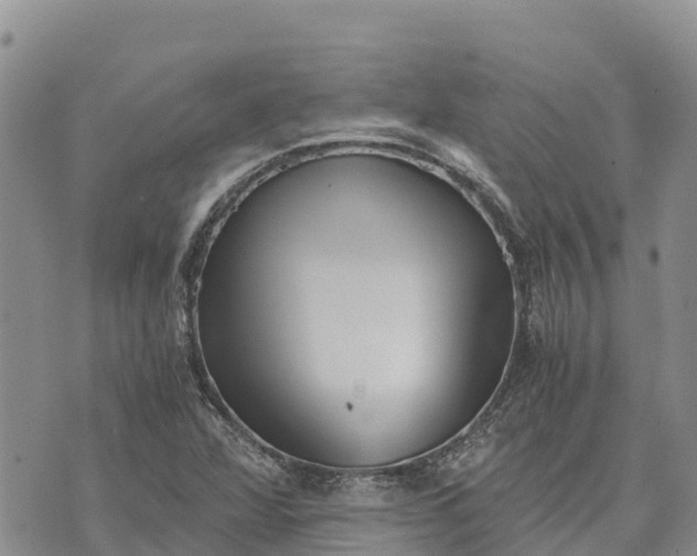 X0000073451360200608111340