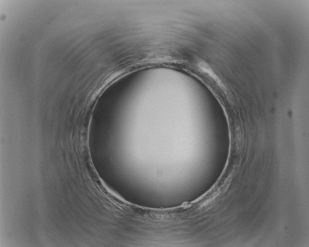 X0000073451361200608111340