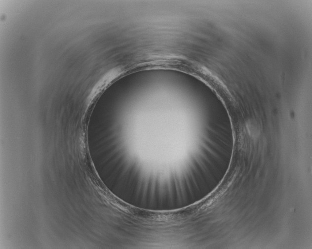 X0000073451362200608111340