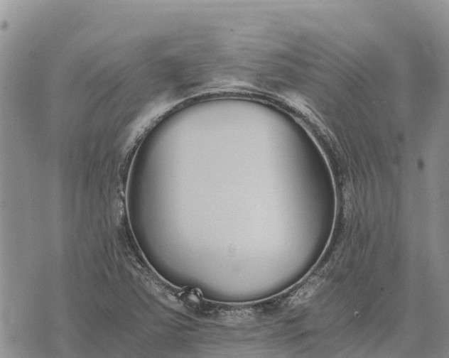 X0000073451363200608111340