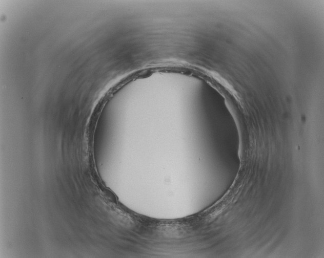 X0000073451364200608111340