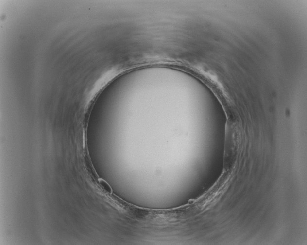 X0000073451365200608111340