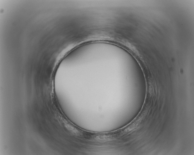 X0000073451366200608111340