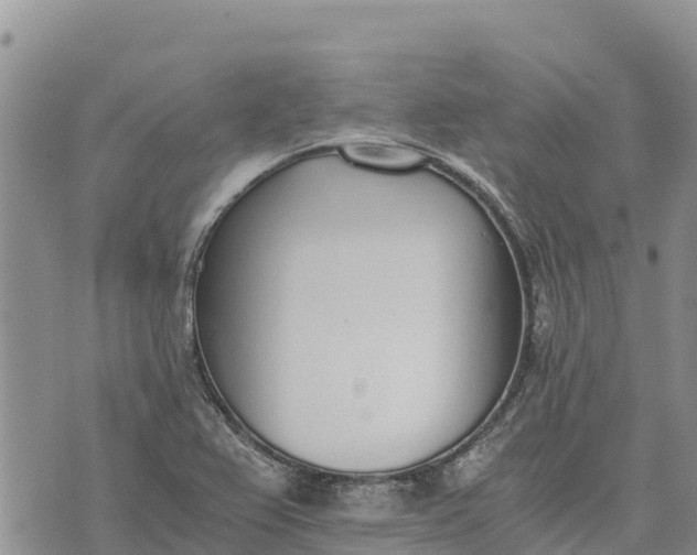 X0000073451367200608111339