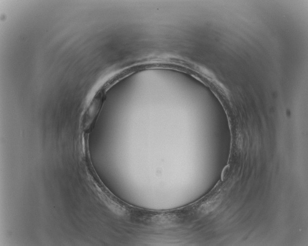 X0000073451368200608111339