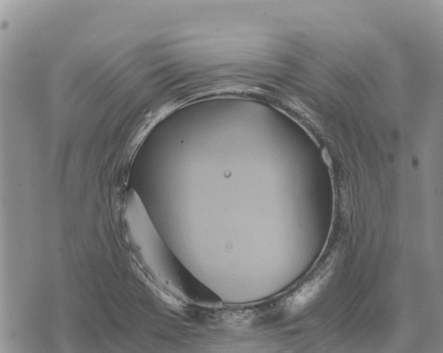 X0000073451369200608111339