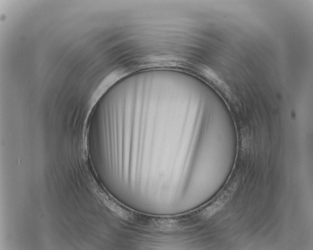 X0000073451370200608111339