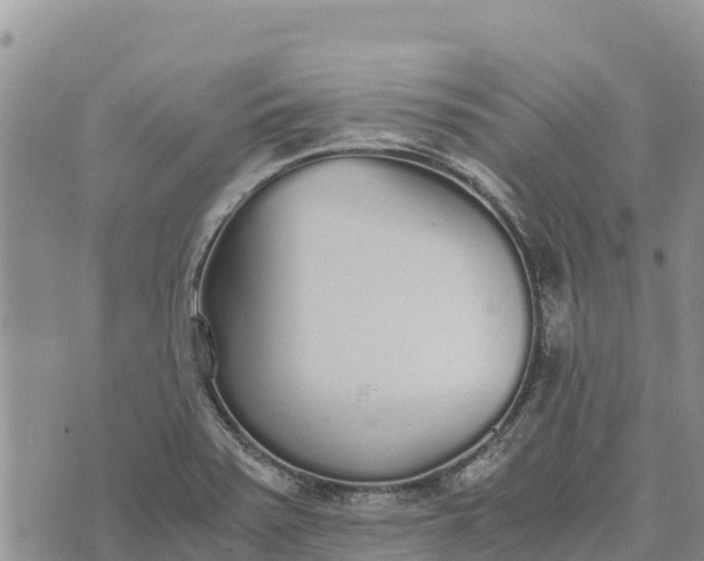 X0000073451371200608111339