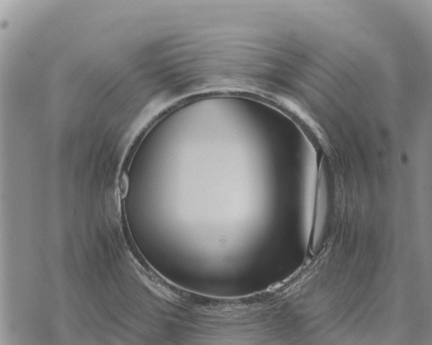 X0000073451372200608111339