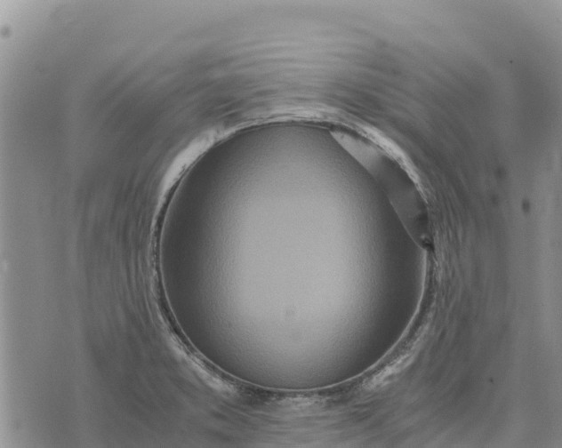 X0000073451373200608111339