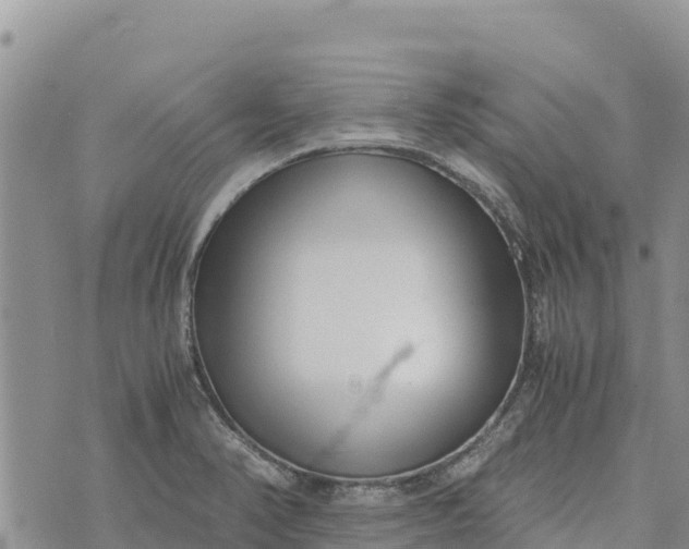 X0000073451374200608111339