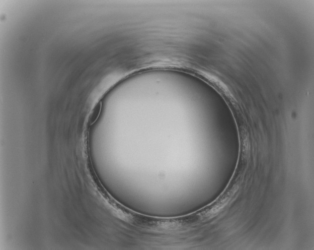 X0000073451375200608111339