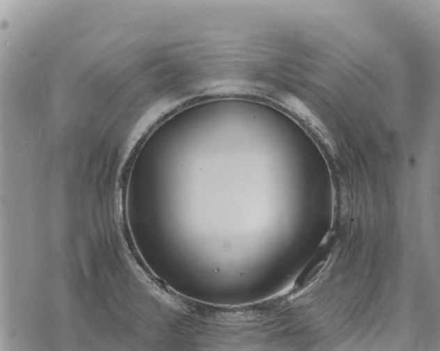 X0000073451376200608111339