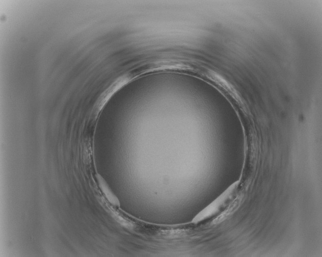 X0000073451377200608111339