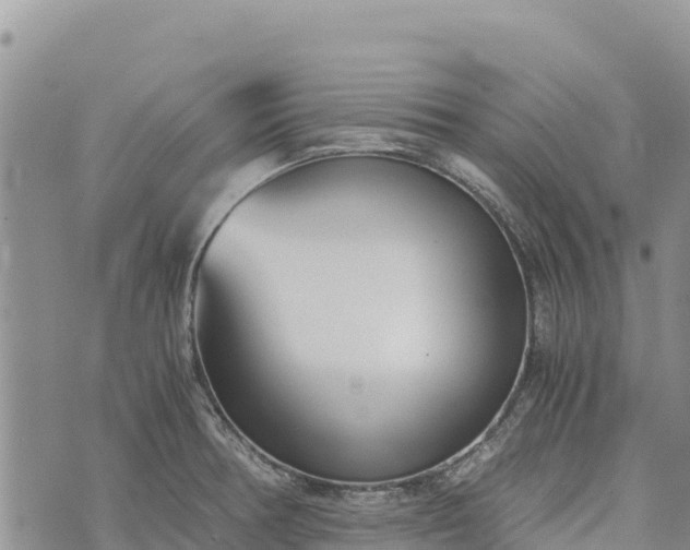 X0000073451378200608111339