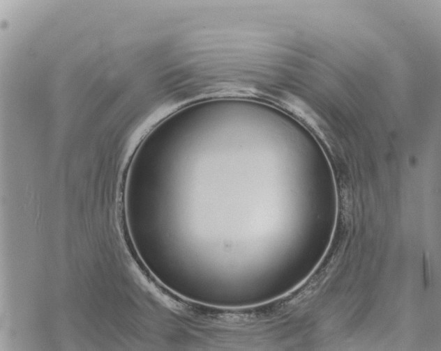 X0000073451379200608111339