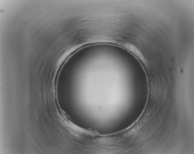 X0000073451380200608111339