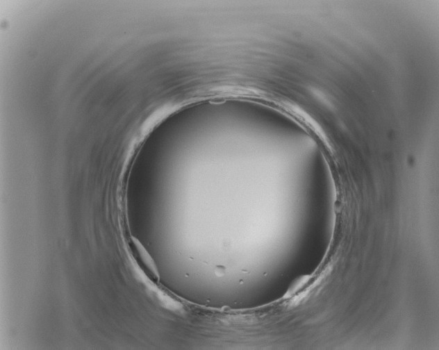 X0000073451381200608111339