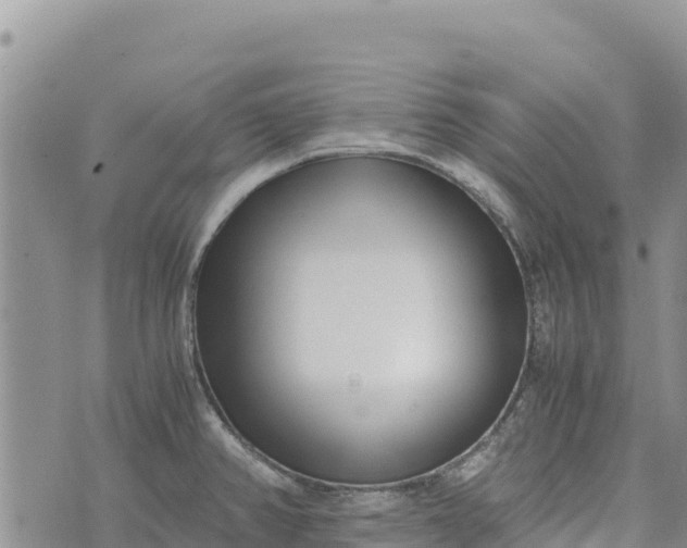 X0000073451382200608111339