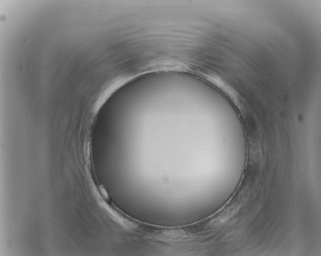 X0000073451383200608111339