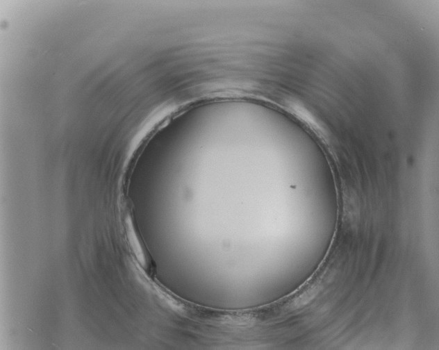 X0000073451384200608111339