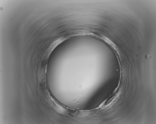 X0000073451385200608111339