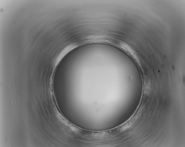 X0000073451386200608111339