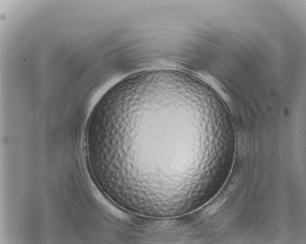 X0000073451387200608111339