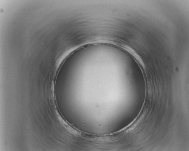 X0000073451388200608111339