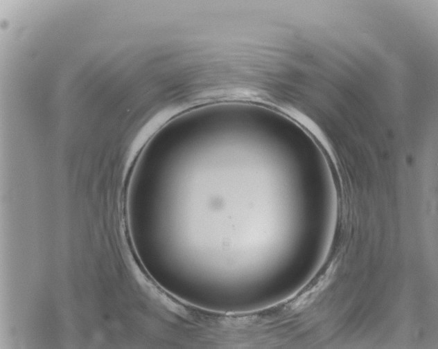 X0000073451389200608111339