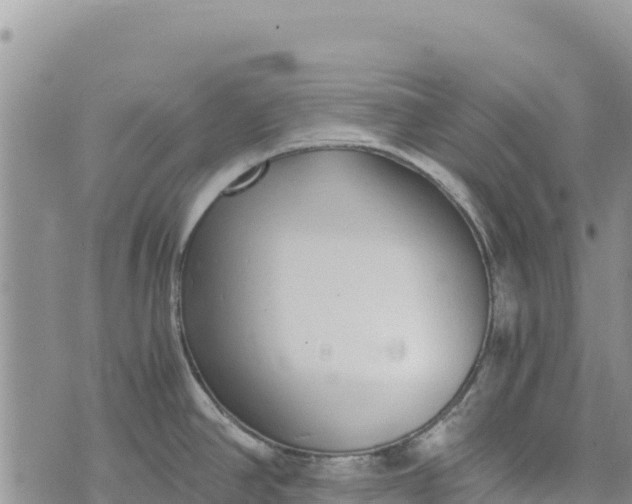 X0000073451390200608111339