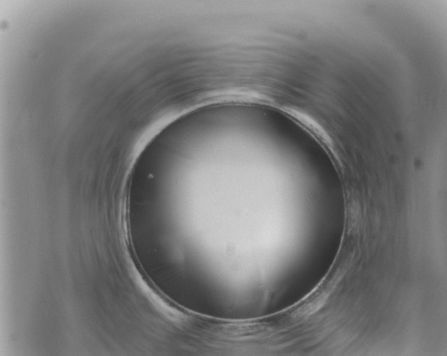 X0000073451391200608111339