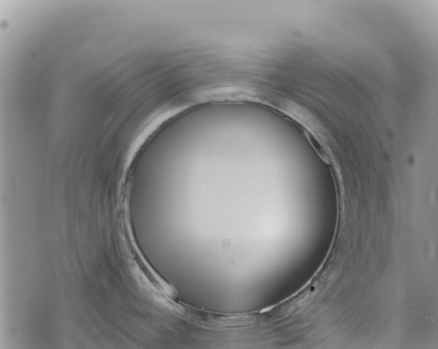 X0000073451392200608111339