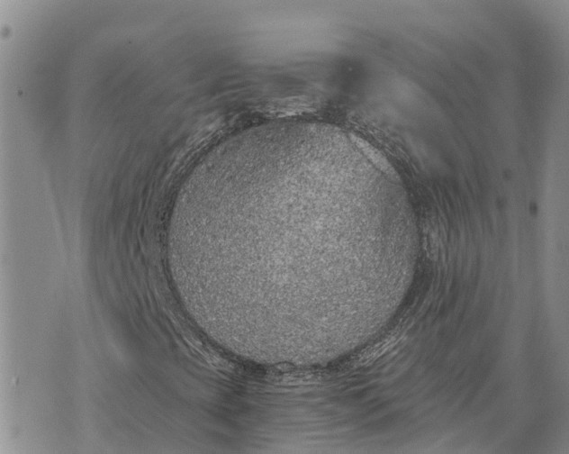 X0000073451393200608111338