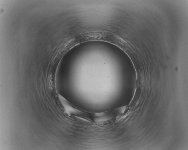 X0000073451394200608111338