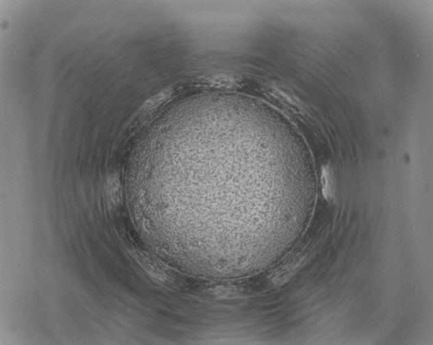 X0000073451395200608111338