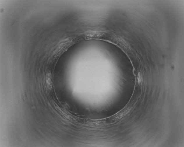 X0000073451396200608111338