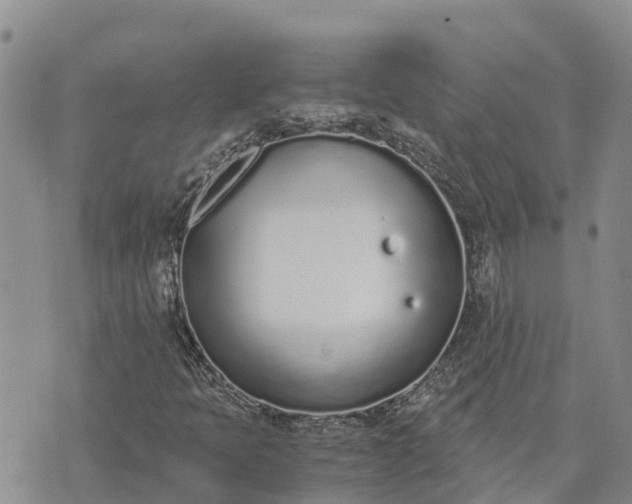 X0000073451397200608111338