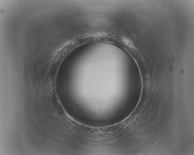 X0000073451398200608111338